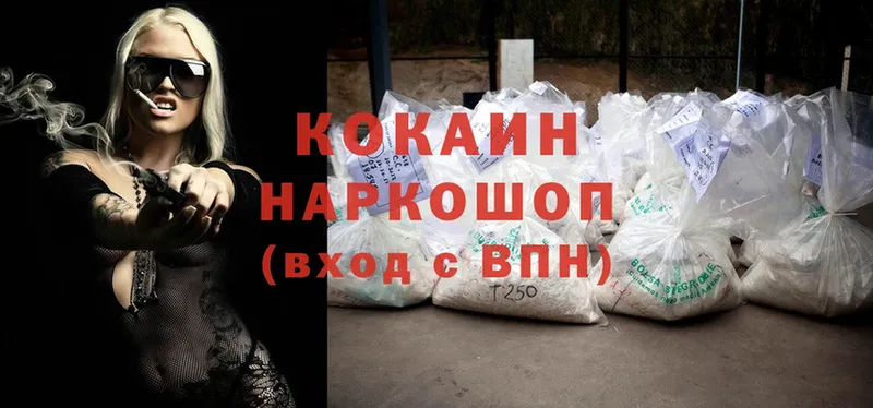 Cocaine FishScale  что такое   Камышин 