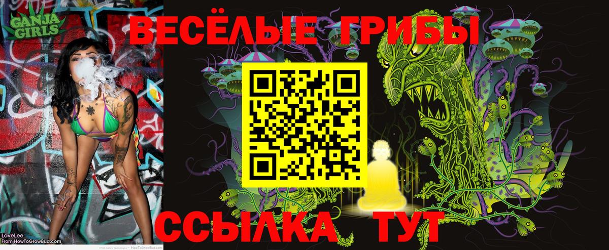 Псилоцибиновые грибы Psilocybe Камышин