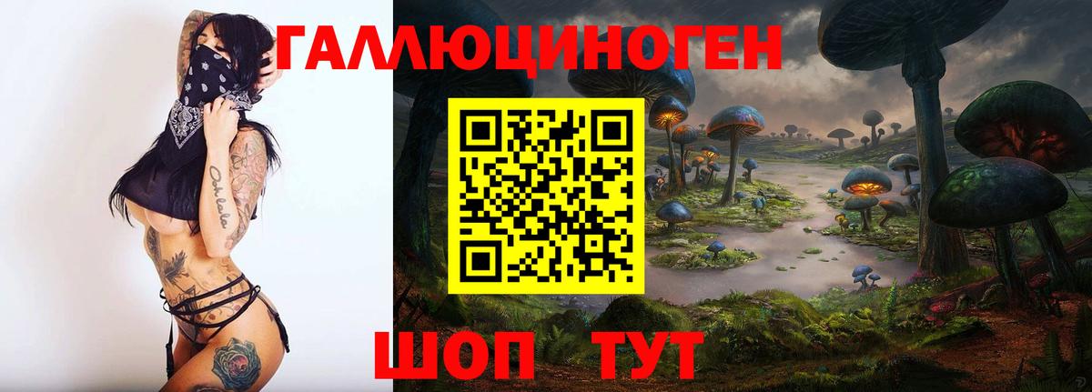 Галлюциногенные грибы Psilocybine cubensis  Вход с VPN  Камышин  Псилоцибиновые грибы GOLDEN TEACHER 
